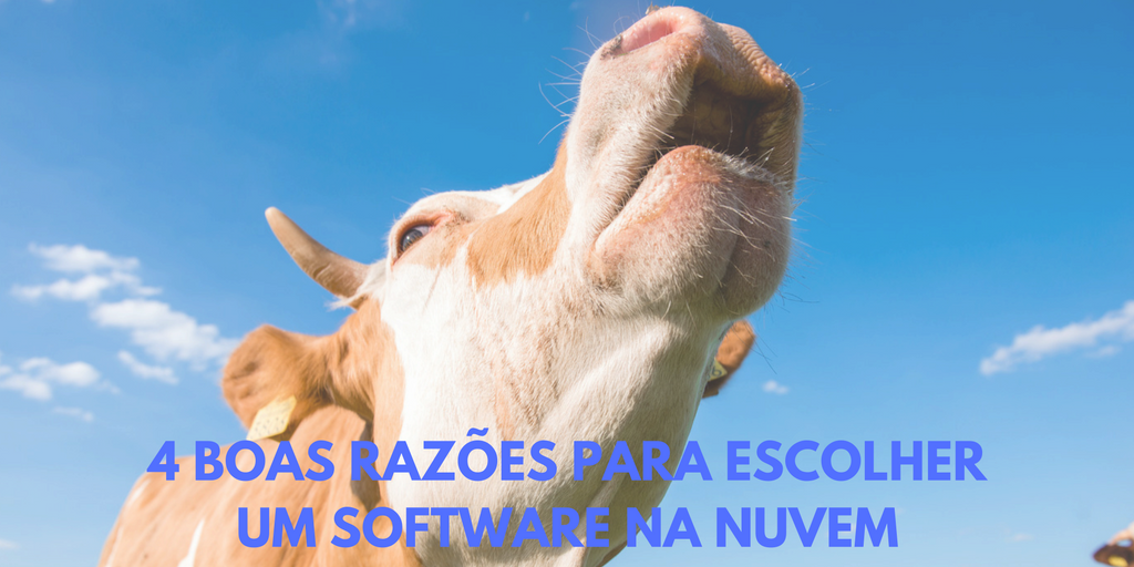 Software para gestão pecuária na nuvem