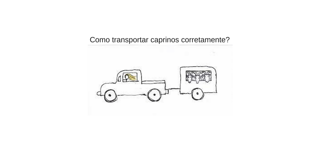 Dicas para transportar caprinos corretamente