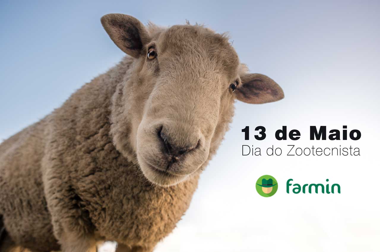 13 de Maio – Dia do Zootecnista – Parabéns